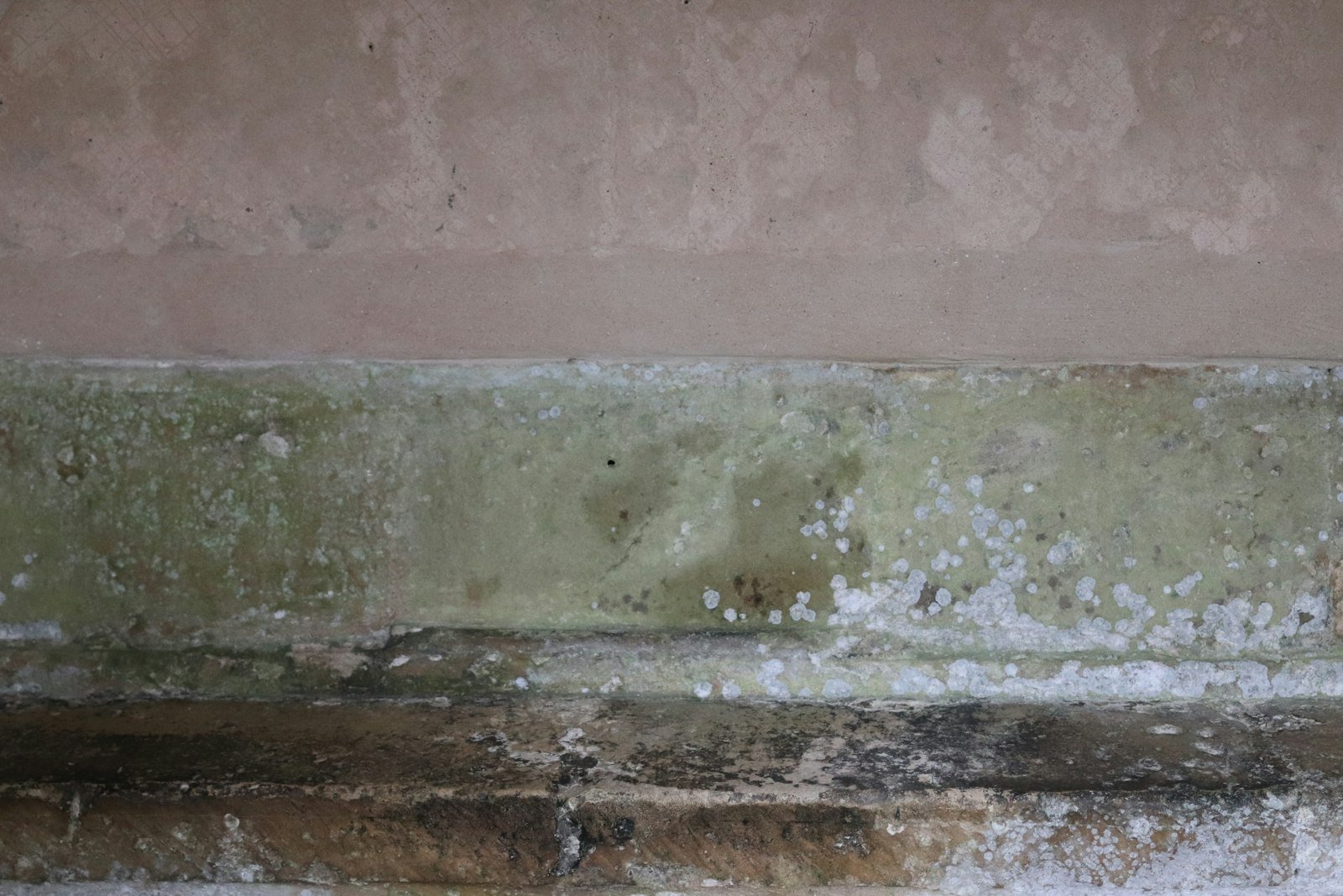Damp staining and mould low on an interior wall